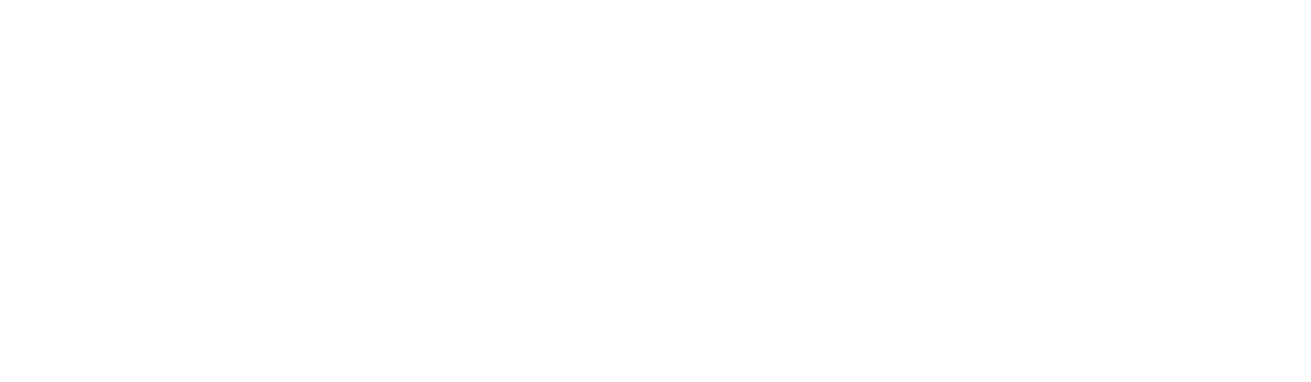 shreem accountant white 02